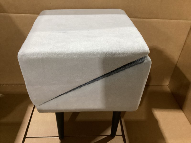 Condition photo showing New/Like New for small dog ramp 