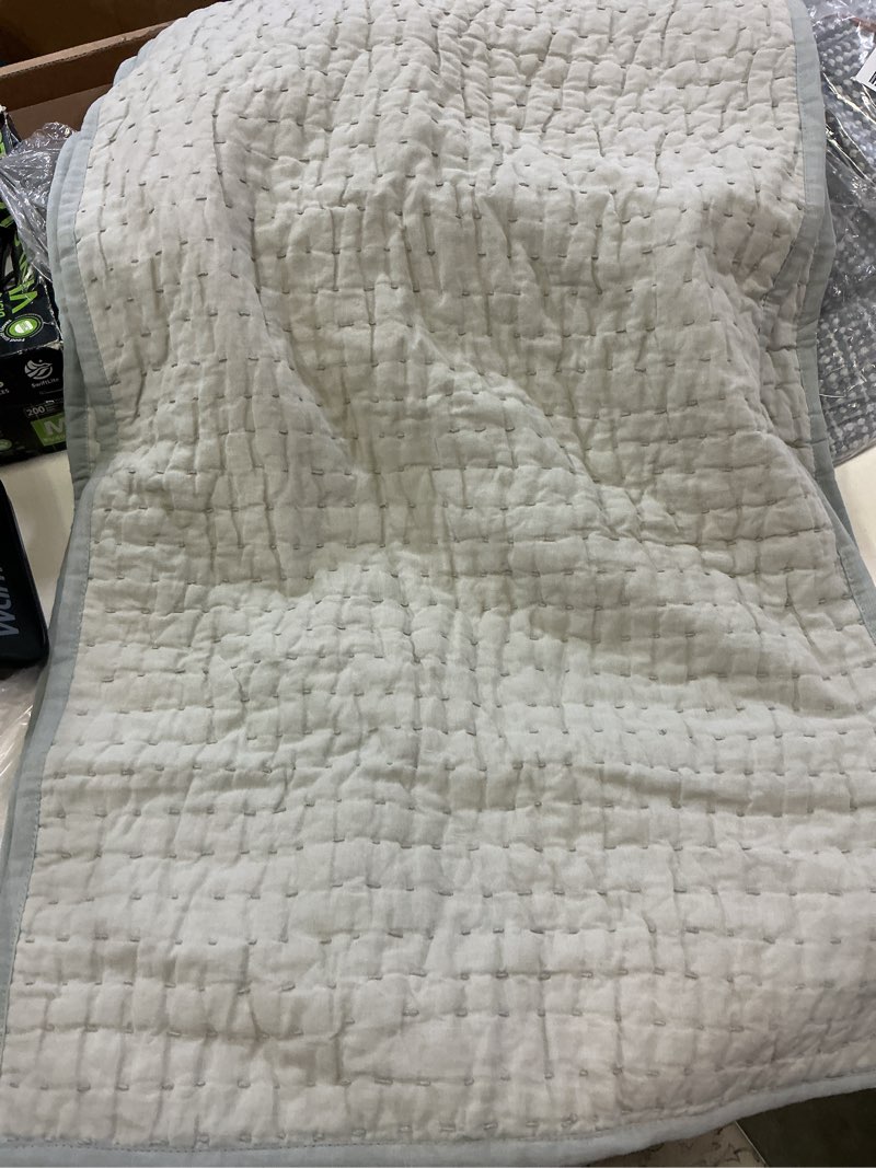 Condition photo showing Good Condition for european linen dream sham set color willowleaf 20in x 36in