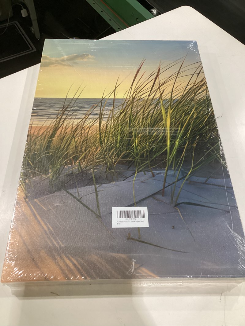 Condition photo showing New/Like New for 3pcs blue beach scenery canvas wall art coastal ocean landscape poster print sunshine beachy grass sunset picture modern seaside artwork painting wall decor for living room bedroom 16x24in framed canvas 24l" x 16w"