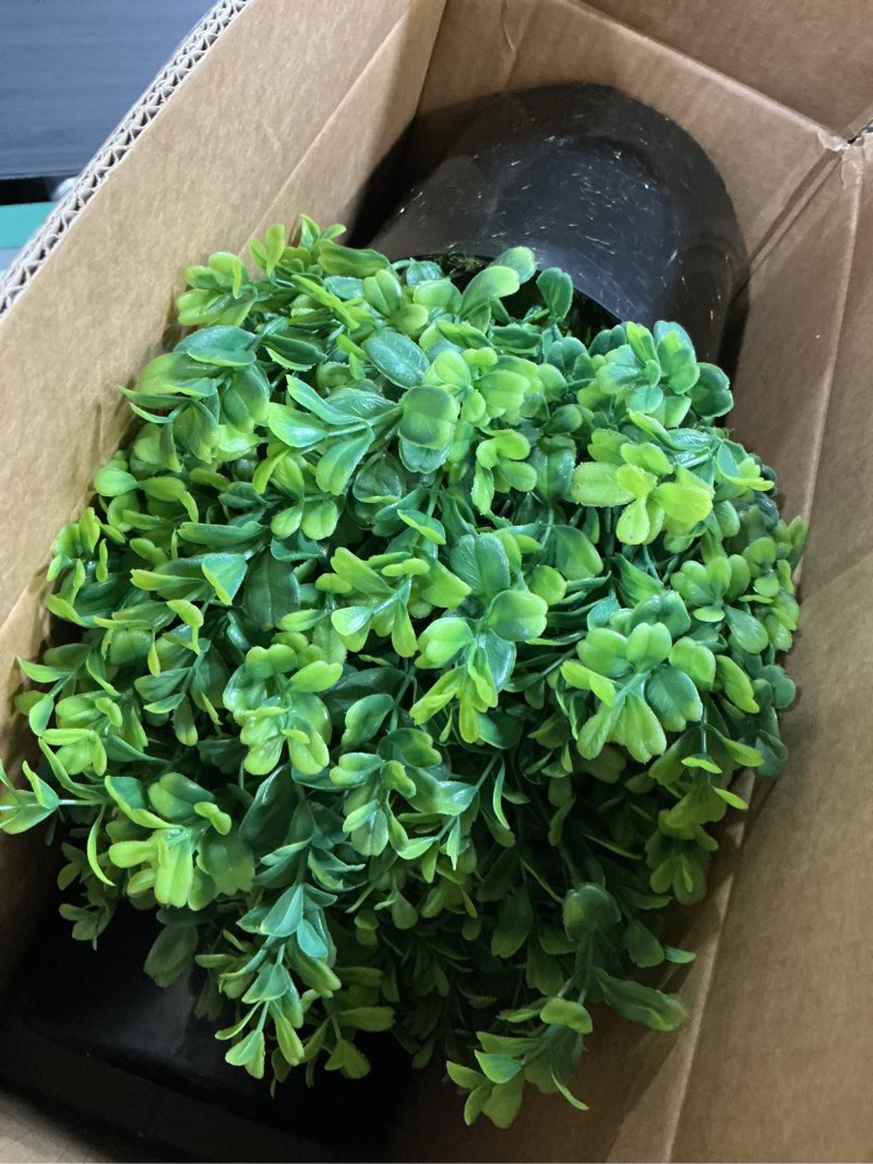 Condition photo showing Good Condition for Set of 2 Artificial Boxwood Topiary Trees for Front Door - Faux Realistic Greenery Potted Plants, Fake Outdoor UV-Resistant Bushes with Pots for Porch,Farmhouse,Home,Garden Decor