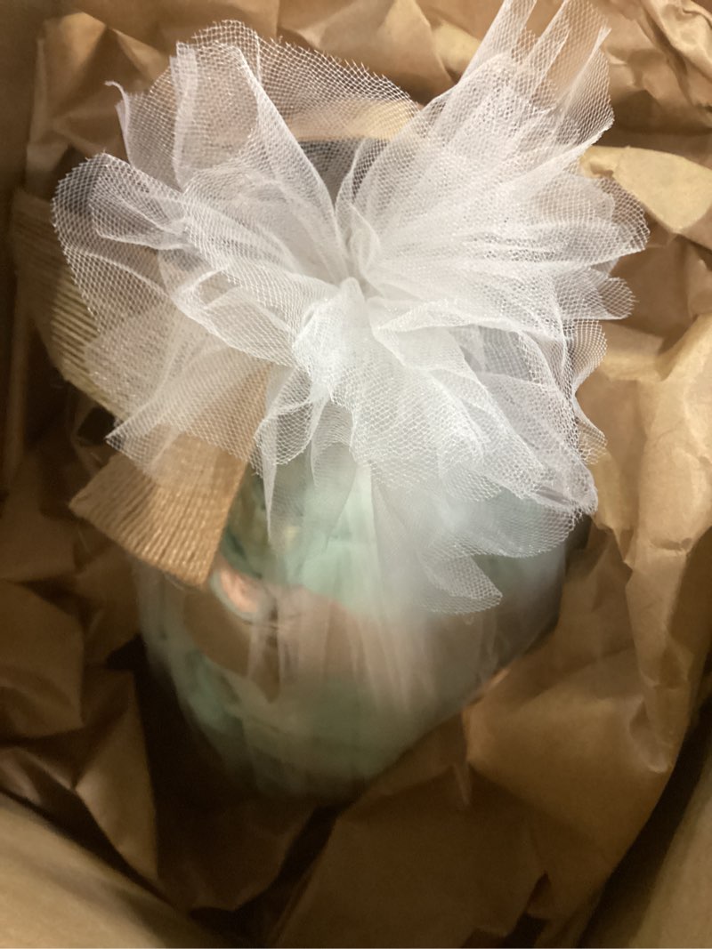Condition photo showing Good Condition for the honest company diaper cake, diapers baby personal care plant-based wipes above it all regular size 1 8-14 lbs, 35 count 35 count (pack of 1) above it all