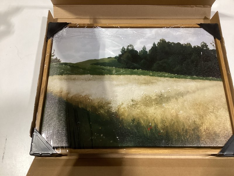 Condition photo showing New/Like New for KISSFOX Vintage Landscape Canvas Wall Art Nature Wildflower Field Scenery Prints Country Painting Picture Decor Artwork Rustic Farmhouse Gallery Office Living Room Bedroom Bathroom