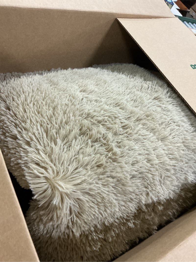 Condition photo showing Good Condition for mugorn 5x7 rugs for living room, large fluffy area rugs for bedroom, soft carpet shag kids rug with 4 non-slip rug pads (light tan, 5ft x 7ft) light tan 5ft x 7ft