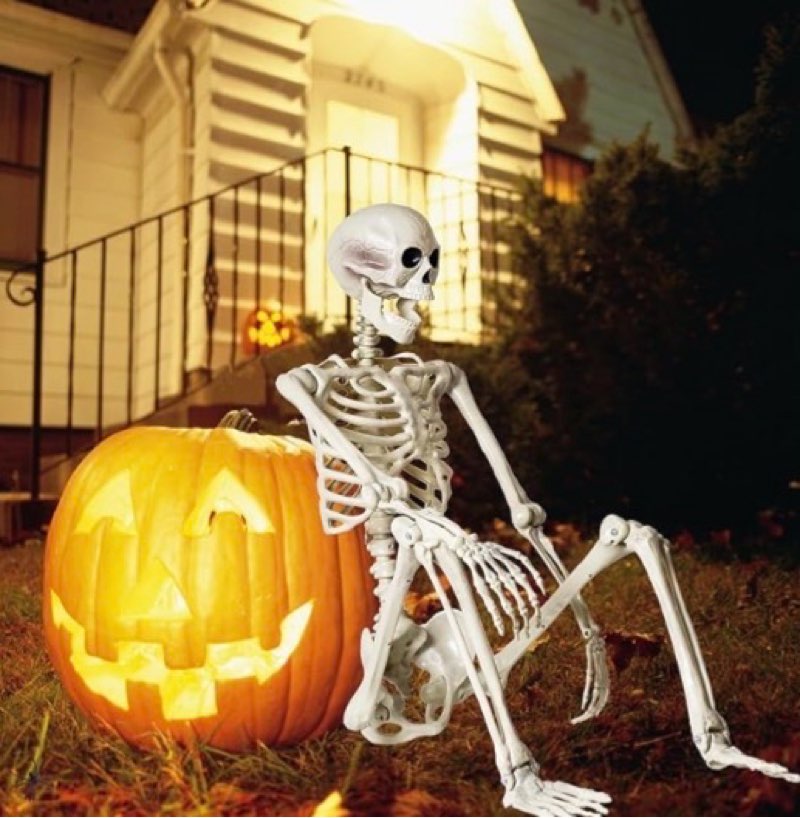 breesky 5.4 ft Halloween Life Size Skeleton, Full Body Realistic Human Bones with Flexible Joints, Skeleton for Halloween Full Size