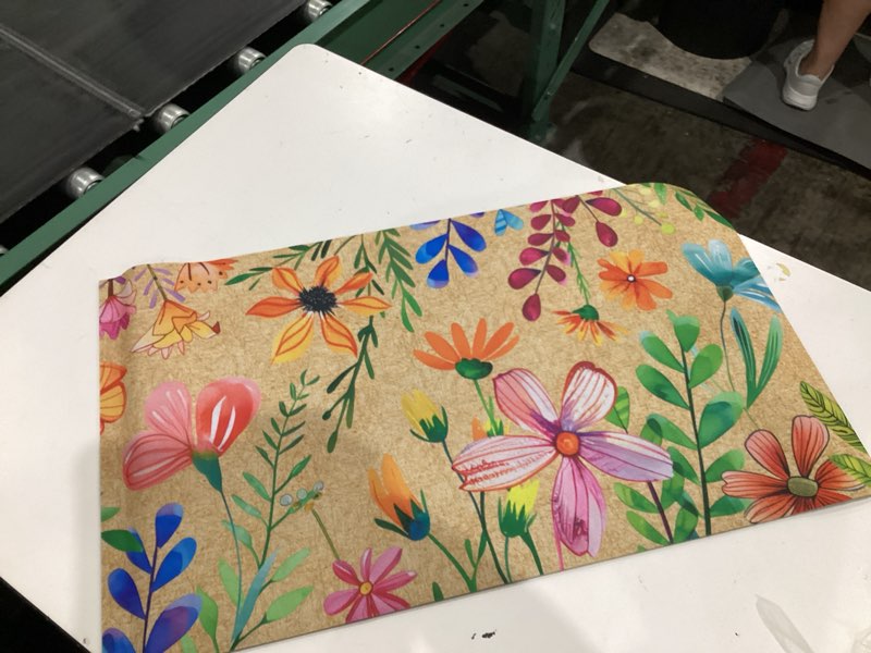 Condition photo showing New/Like New for likiyol door mat floral door mats colorful flowers doormat outdoor entrance, non slip welcome mat with rubber backing for front door, entryway, low profile, absorbent, 18'' x 30'', beige colorful-e 18" x 30"