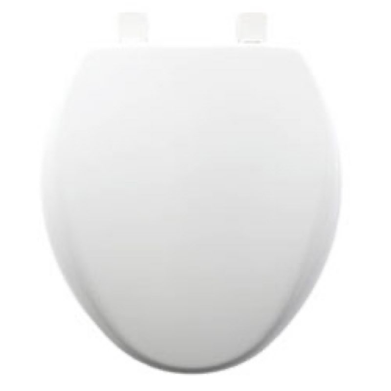 Assorted Toilet Seats ( Styles And Designs May Vary ) 