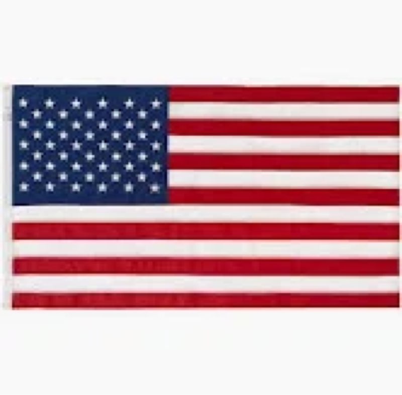Valley Forge Sewn Nylon United States Flag in Red/White/Blue | 3 x 5 ft | Michaels
