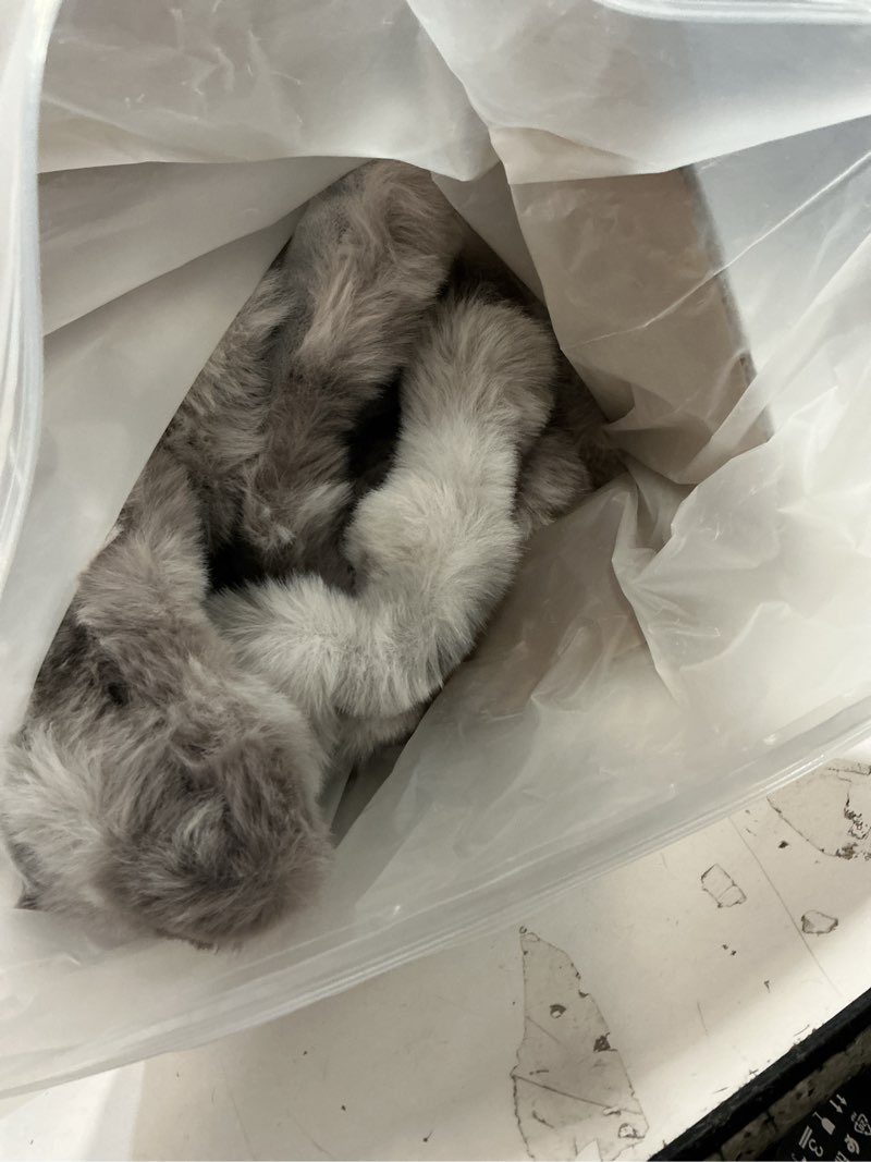 Condition photo showing Good Condition for Faus Fur Throw BLanket, Super S... Decor (Stripes White, T6\" x50\")