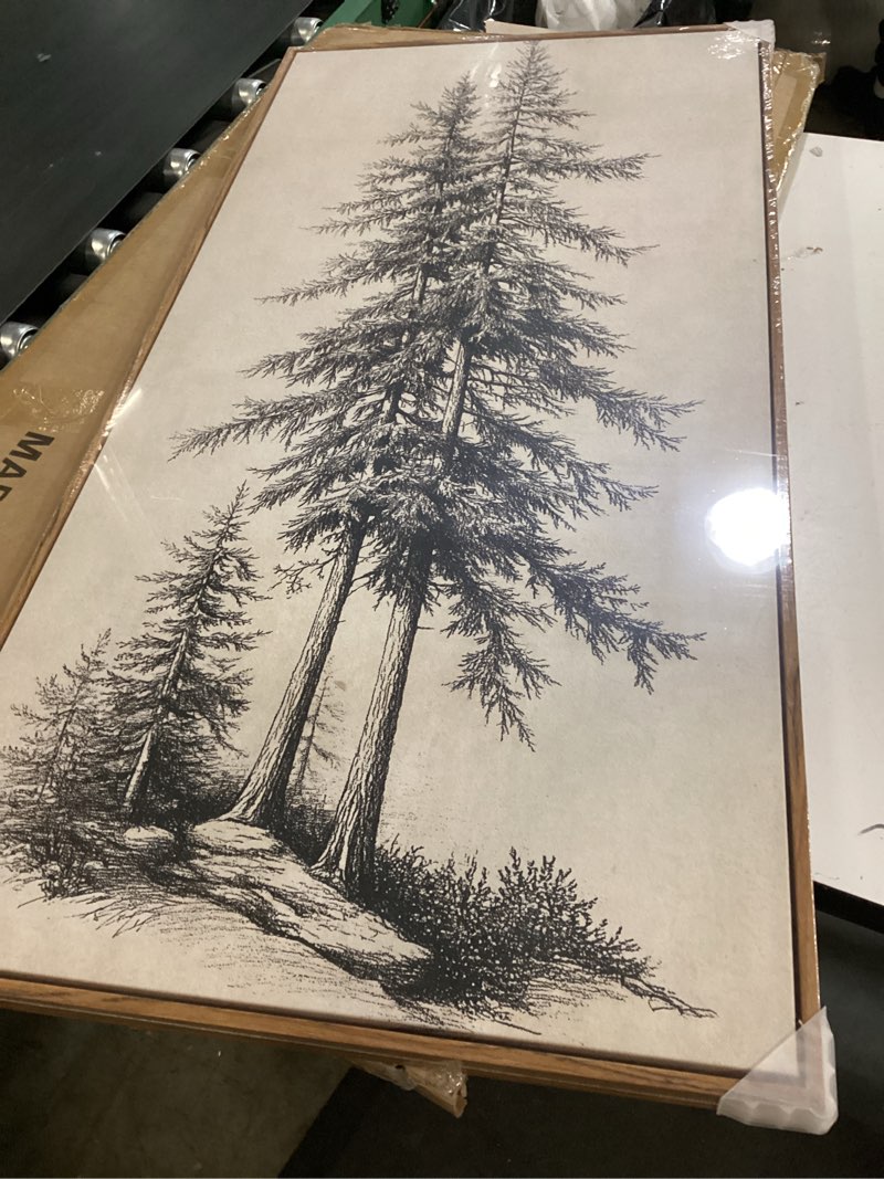 Condition photo showing New/Like New for framed vertical vintage sketch tree living room wall art, large black beige rustic pine artwork for walls, classic antique nature forest canvas painting print for office kitchen foyer stair 20x40 inch 40"l x 20"w pine tree