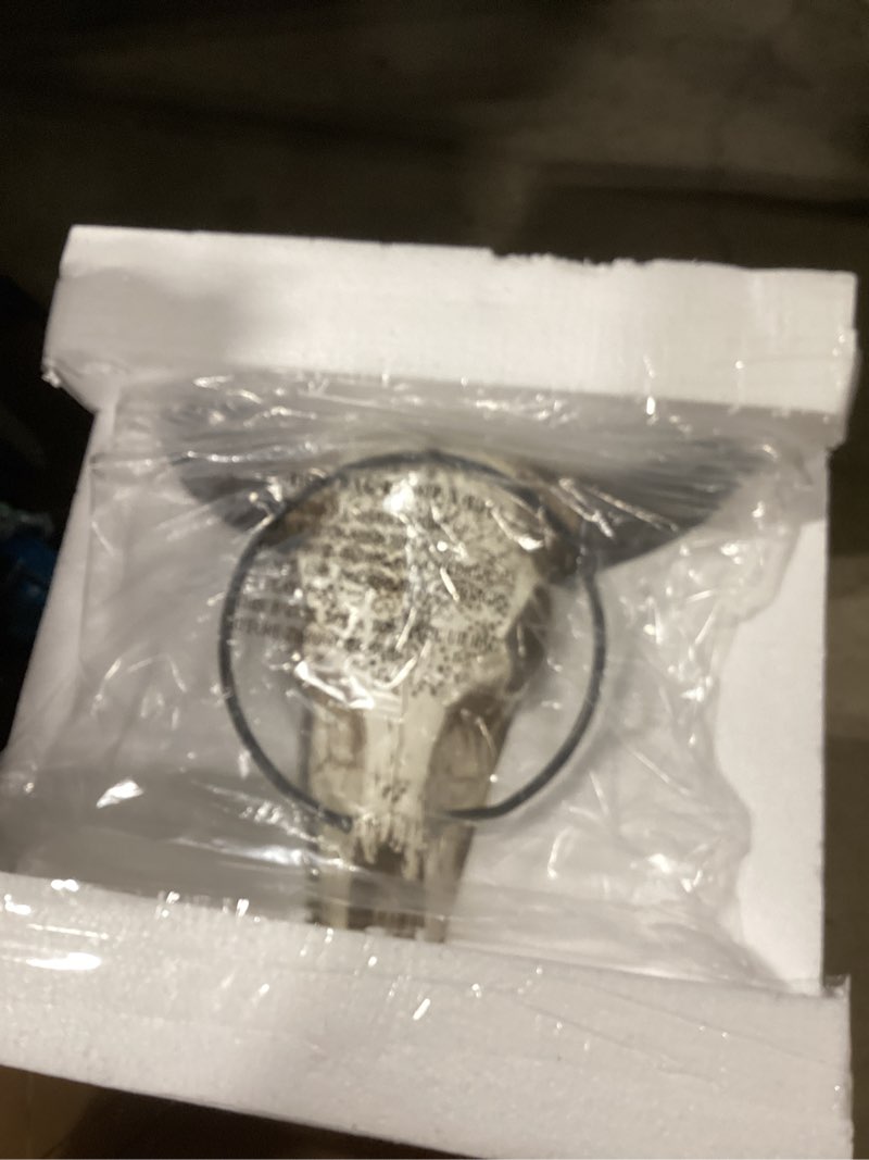 Condition photo showing Good Condition for BestGiftEver Western Tooled Bull Skull Head Towel Ring Holder - Wall mount Rustic, Lodge, and Cabin Theme Hand Towel Holder - Rustic Bathroom and Kitchen Home Decor - Ideal for Southwest Country Style