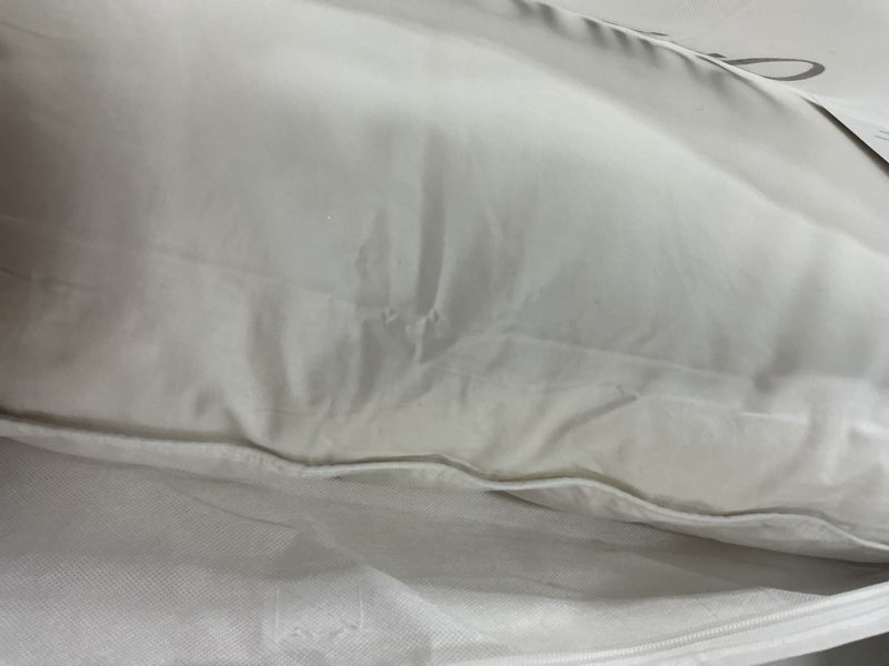 Condition photo showing Good Condition for premium down pillow