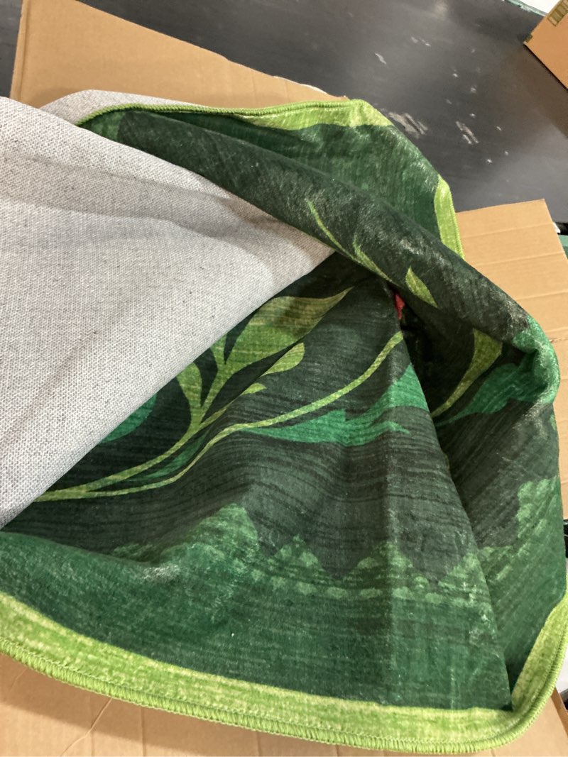 Condition photo showing Good Condition for washable rug 8x10 area rugs for living room, protea floral rug for bedroom, soft vintage non slip throw rugs with rubber back, low pile stain resistant boho floral carpet for dining room, forest green forest green 8' x 10' (rectangular)