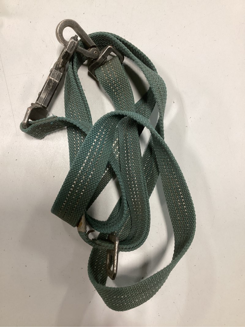 Condition photo showing As Is for carhartt pet durable nylon webbing leashes for dogs, reflective stitching for visibility, shaded bruce (nylon webbing), large shaded bruce (nylon webbing) large