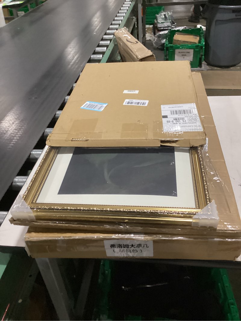 Condition photo showing New/Like New for VIYYIEA Gold Framed Wall Art Canvas Print Home Decor Vintage Flower Art Aesthetic Room Decor White Hydrangea Oil Painting Canvas Prints Bedroom Bathroom Wall Decor Kitchen Office Floral Art 16x20in White Hydrangea 20"L x 16"W