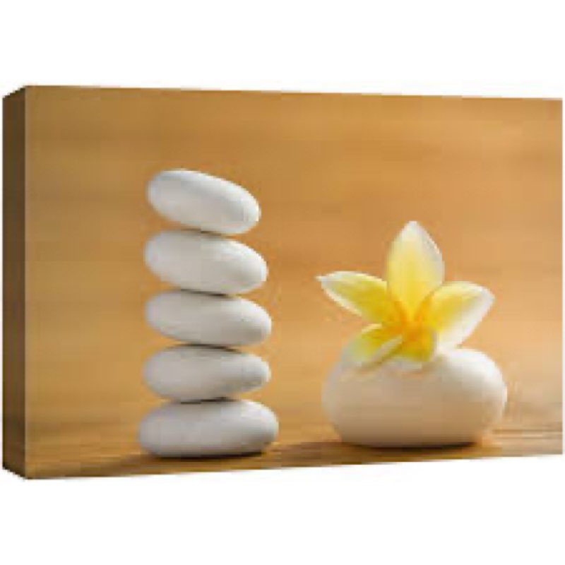Kentucky Wayfair Outlet Zen Stones " Calm Blooming White Plumerla "