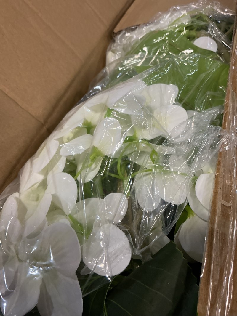 Condition photo showing Good Condition for blosmon white hydrangea fake tree: 2pc 39 inch artificial silk plants for home living room decor indoor - real touch faux hydrangeas with pot for front door porch patio entrance decoration white hydrangea 3.3ft