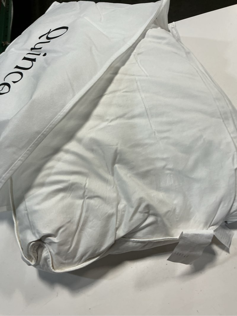 Condition photo showing As Is for luxe goose down pillow, standard, medium/firm