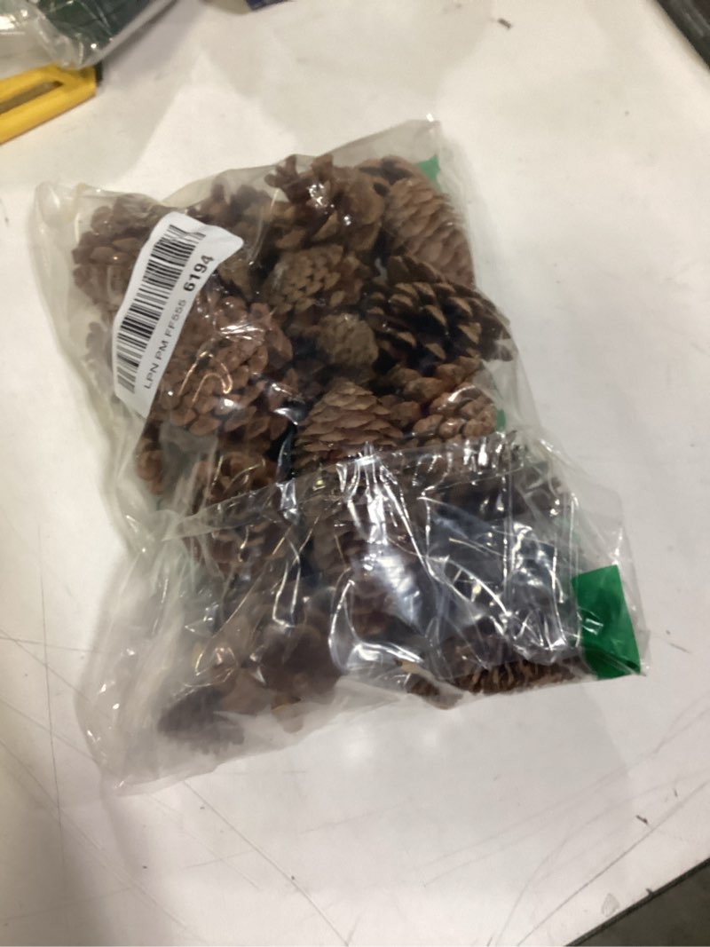 Condition photo showing New/Like New for Christmas Pine Cone Decorations, 40 Pcs Large Natural Pine Cones for Crafts - Large Medium and Mini Sizes for Table Tree and Home Decor