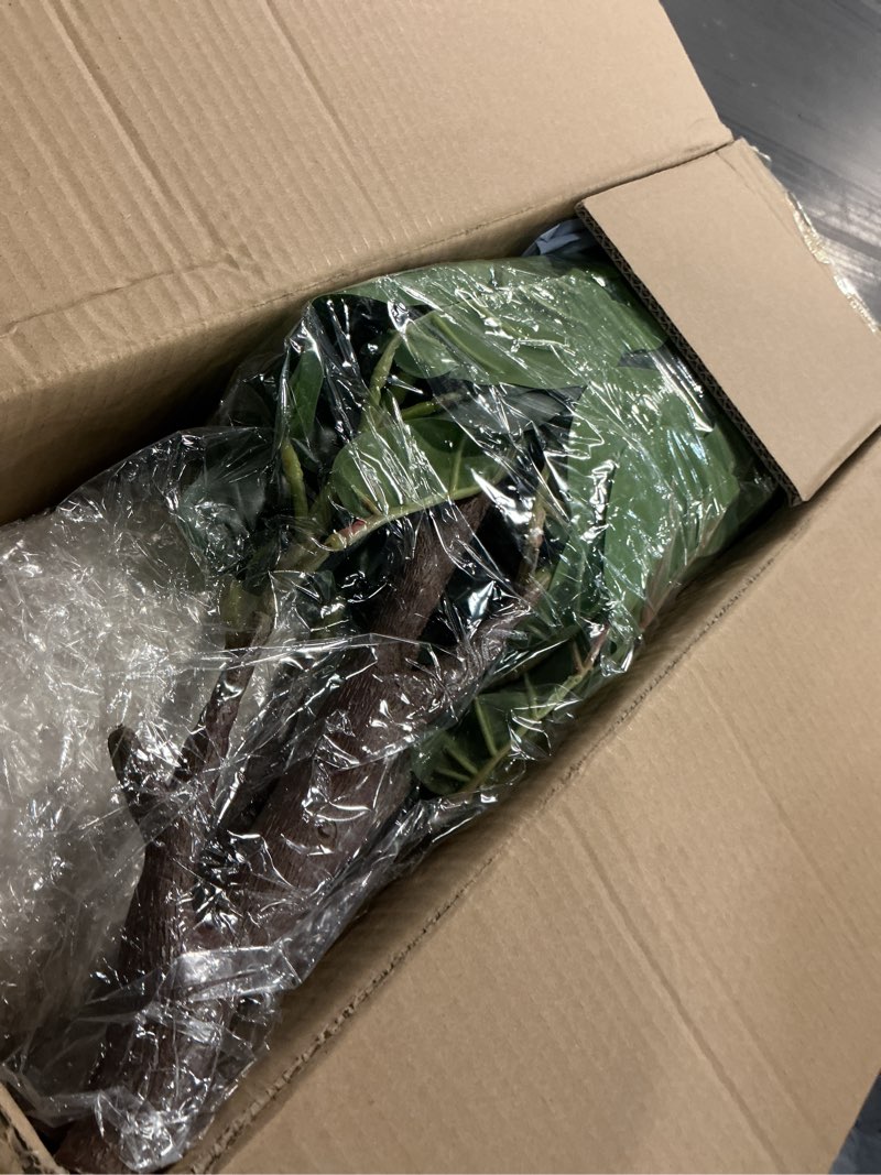 Condition photo showing Good Condition for 5ft artificial fiddle leaf fig tree with white planter & fake moss, realistic faux ficus lyrata floor plant for indoor home office decor, housewarming gift