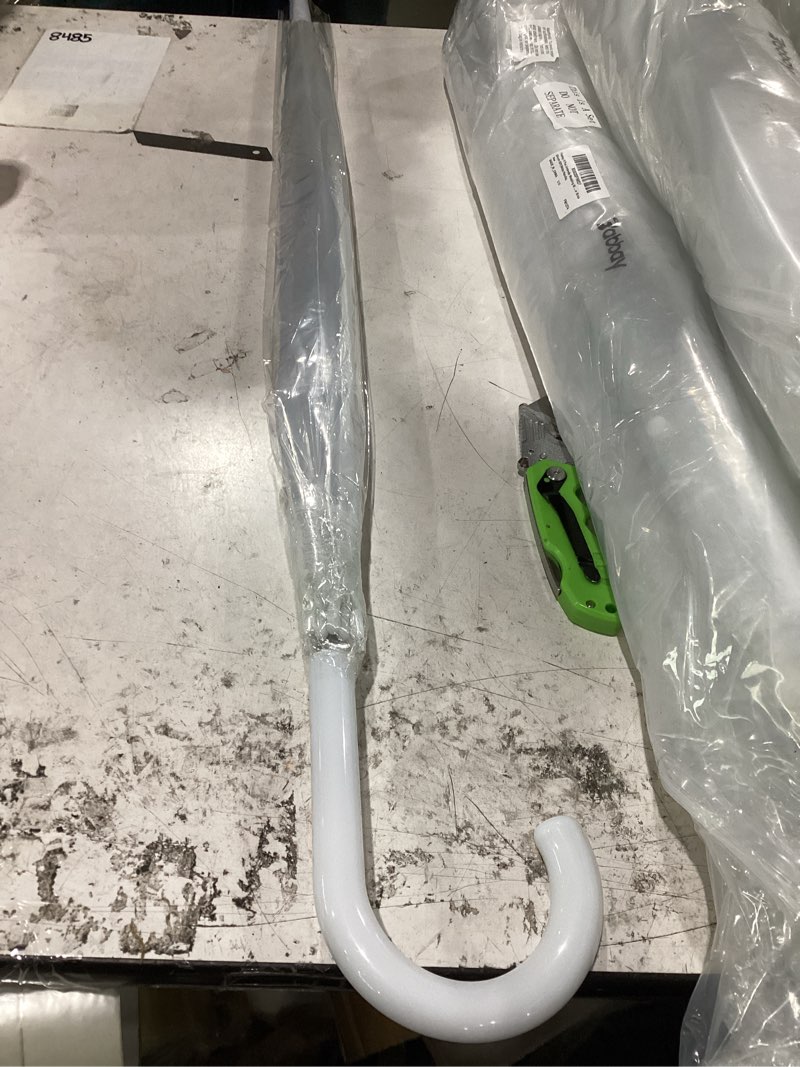 clear umbrella