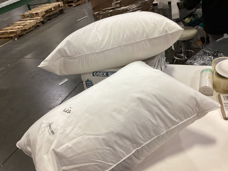 Condition photo showing Good Condition for Alanzimo Goose Feathers Down Pillows Standard/Queen Size Set of 2, Luxury Soft Feather Down Pillow for Sleeping, 100% Cotton Cover Hotel Collection Bed Pillows for Back,Stomach or Side Sleepers 20x28 Antique White 20X28" (Pack of 2)