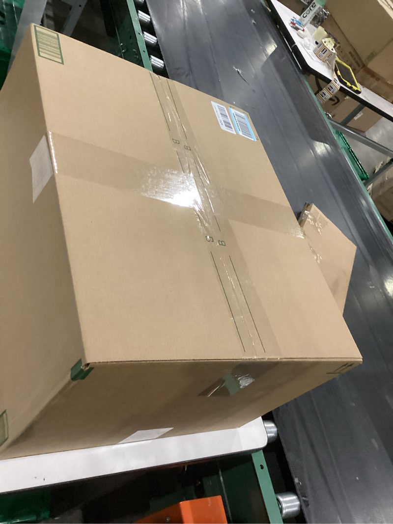 Flexzilla Garden Hose 5/8 in. x 100 ft., Lightweight All-Weather Water Hose, Durable and Flexible, L