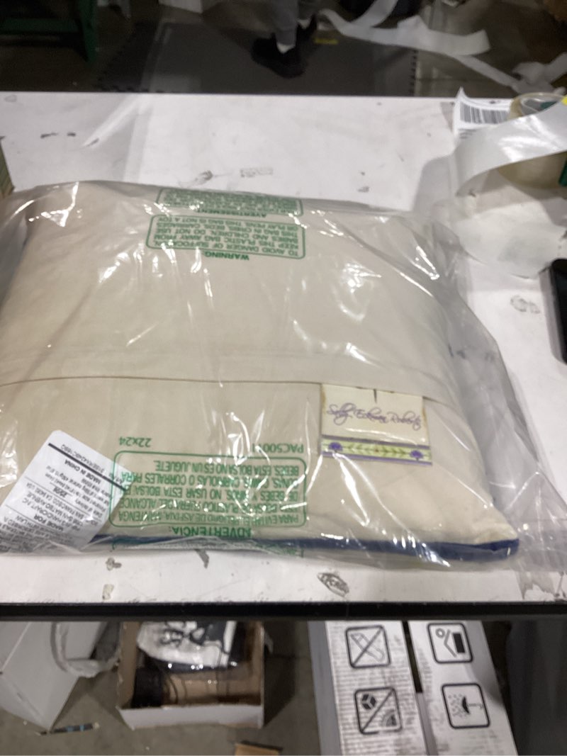 Condition photo showing Good Condition for Peking Handicraft 31SERX424BC16SQ Holiday Chinoiserie Amaryllis Hook Pillow, Poly Filled,16-inch Square, Wool and Cotton