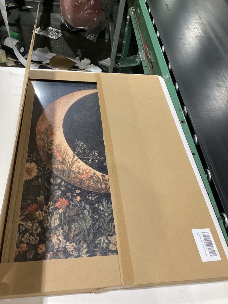 Condition photo showing New/Like New for moody moon floral wall art dark academia goth moon wall decor painting vintage flower celestial artwork 3d texture sandstone for bedroom living room 16x24 inch wood framed 24"l x 16"w moon