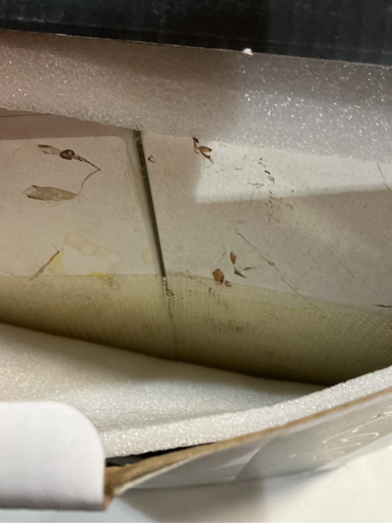 Condition photo showing New/Like New for stone drying mat for kitchen counter, white italian translucent stone dish drying mat-diatomite water absorbing drying stone for kitchen counter mat, quick dry stone mat kitchen for cups bottles. 24" x 16" white italian translucent (1 mat)
