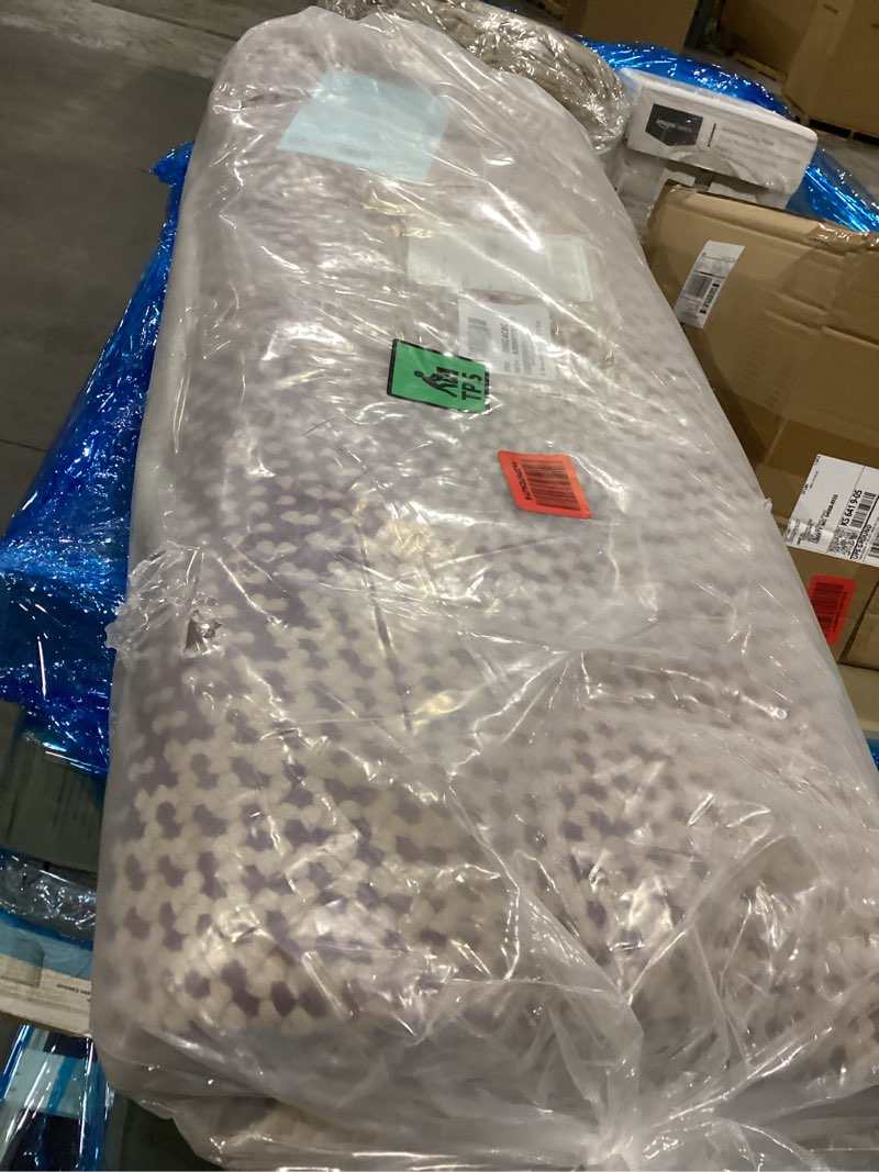 Ring In The New Year With A Win!