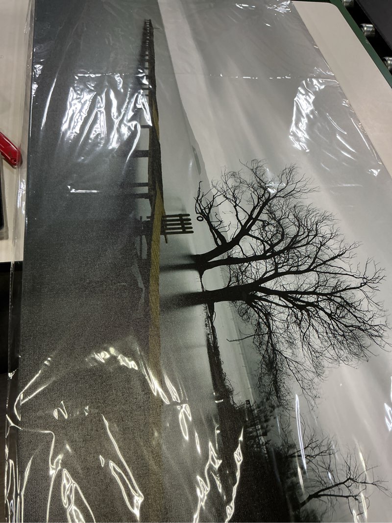 Condition photo showing Good Condition for DZL Art S74962 Canvas Prints Modern Minimalist Black and White Lake Trees Landscape Wall Art Painting for Living Room Bedroom Decor Office Wall Decor Home Decoration