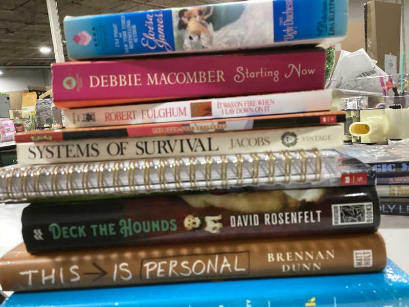 Condition photo showing As Is for (Bidding on a lot of Novels & Movie DVD’s) The Ugly Duchess: A Witty and Passionate Friends to Lovers Historical Romance Inspired by a Classic 