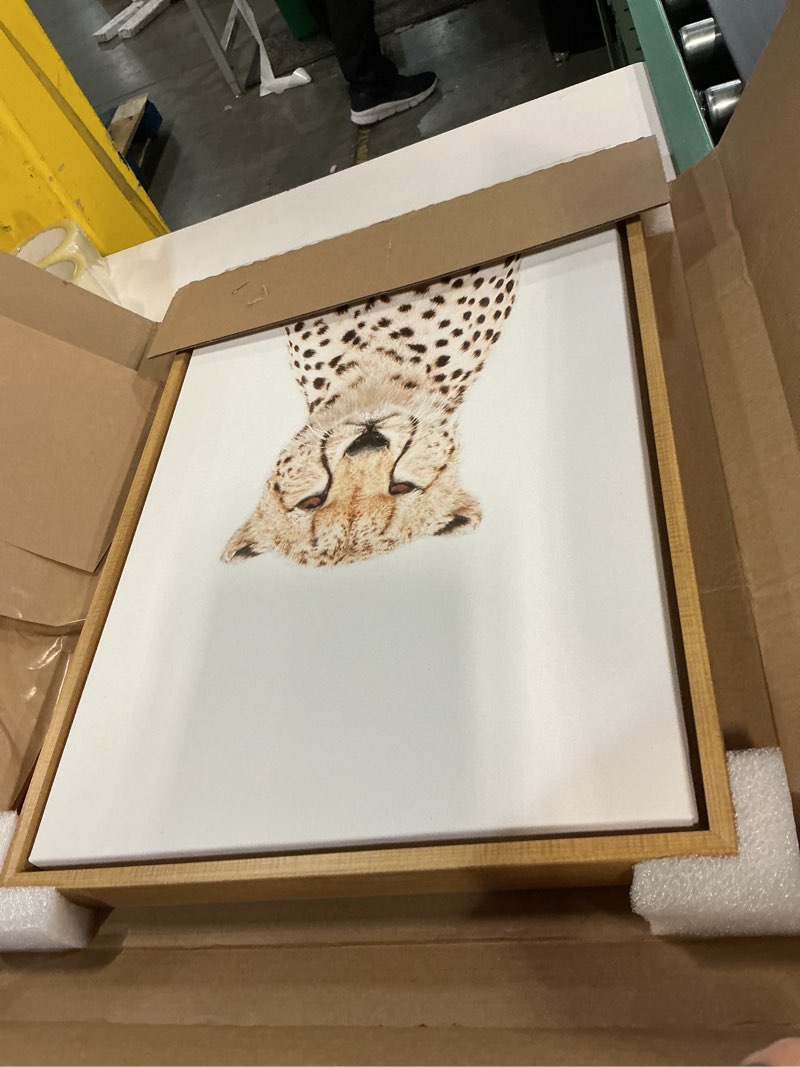 Condition photo showing New/Like New for kate and laurel sylvie cheetah portrait framed canvas wall art by amy peterson art studio; 18x24 natural; modern jungle animal portrait art for wall