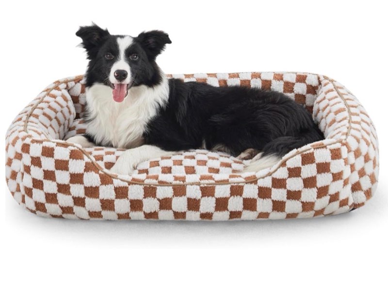 joejoy dog bed for large medium small dogs - rectangle orthopedic dog sofa bed, cute modern puppy be