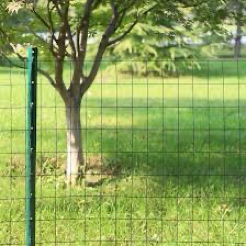 FOREHOGAR Black PVC Coated Welded Wire Fence 24 Inch x 25 Foot, 2 Inch x 3 Inch 16GA, Garden Border 