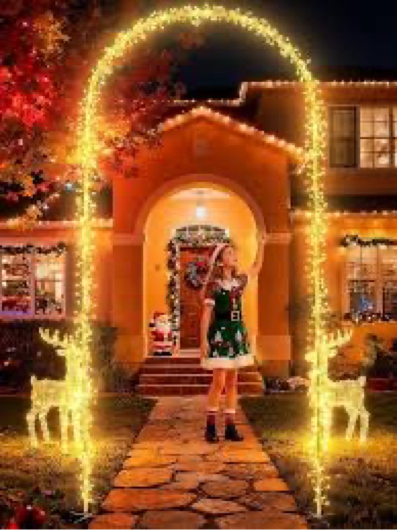 Flacchi Christmas Decoration Outdoor Arch Lights - 9.5FT 460LED Waterproof String Lights with Timer,