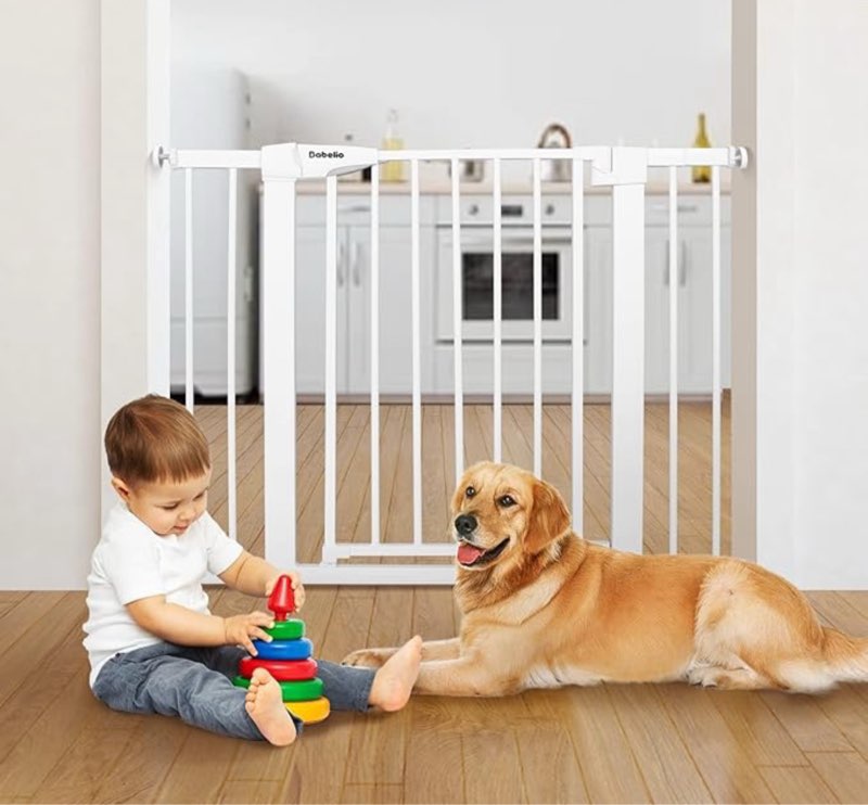 assorted indoor gates