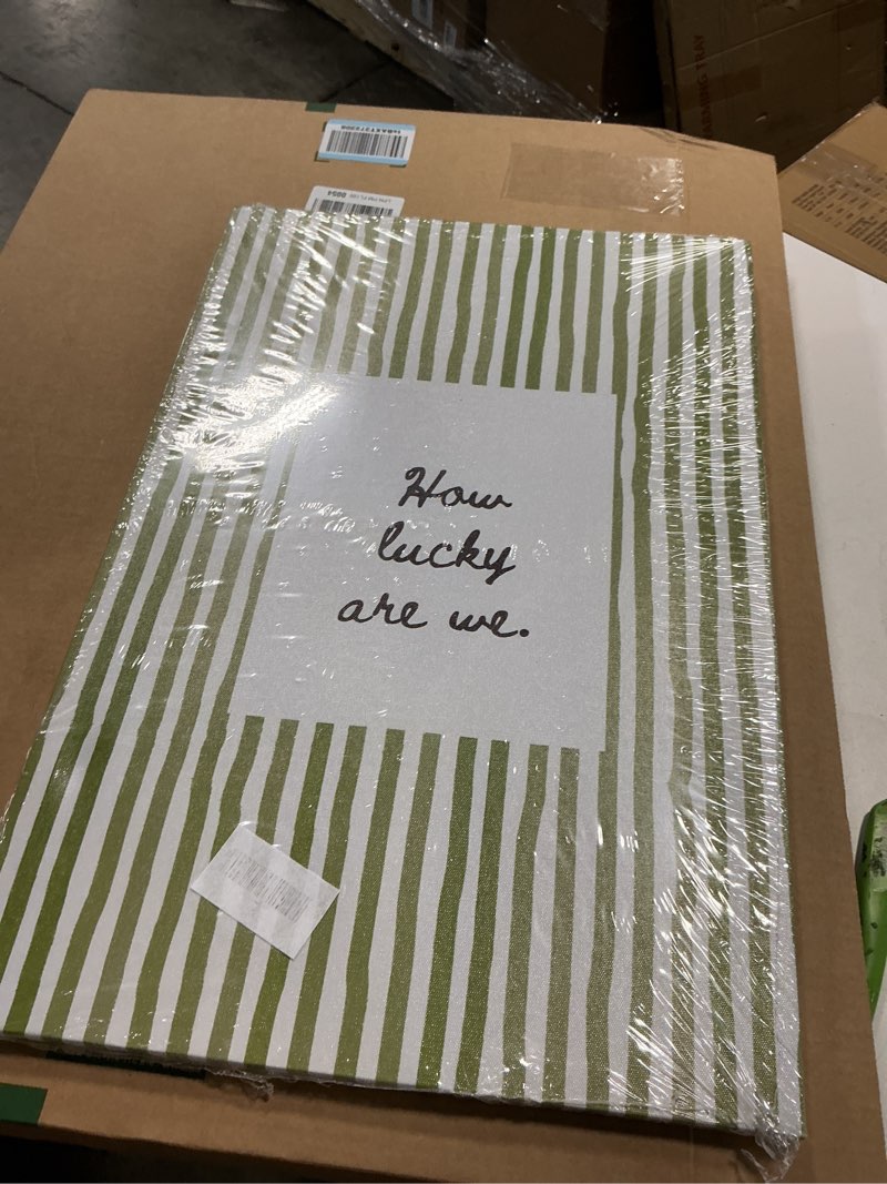 Condition photo showing Good Condition for how lucky are we canvas wall art green striped quote poster canvas trendy aesthetic home wall decor girly preppy picture prints for living room bedroom office decor framed green 16"l x 24"w