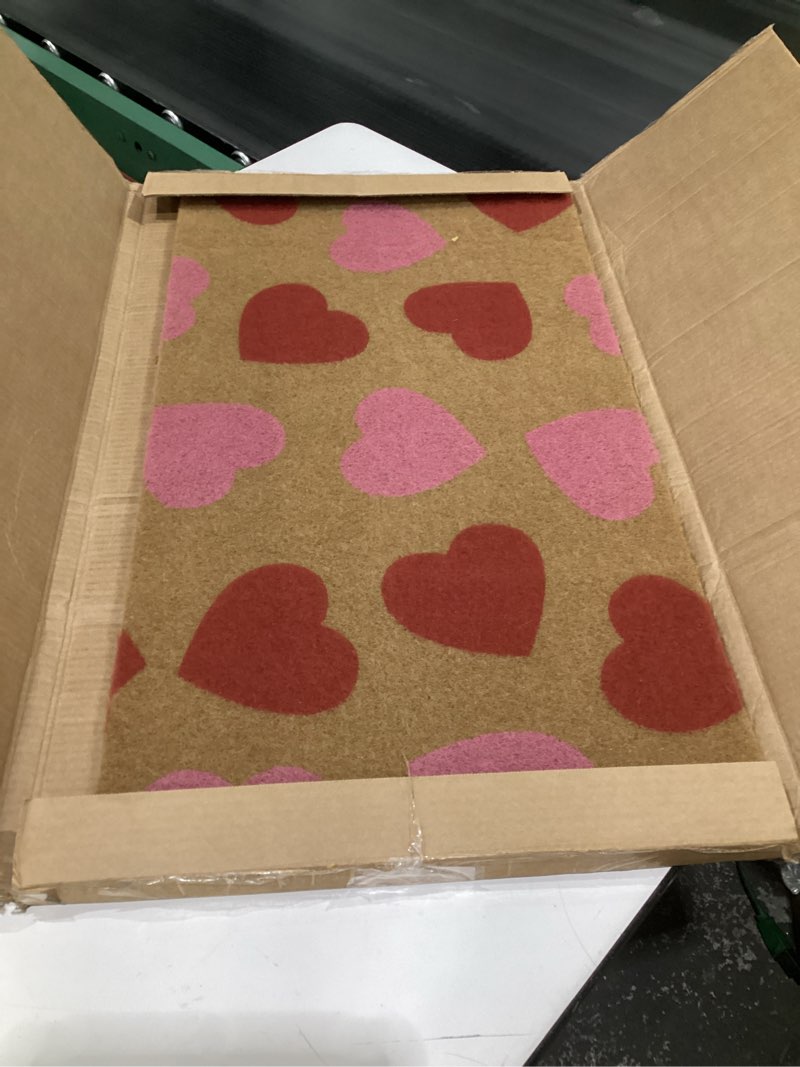 Condition photo showing Good Condition for Calloway Mills Traditional Personalizable Multi-color Coir Indoor Doormat  1  x 2, SIMILAR TO STOCK PHOTOS