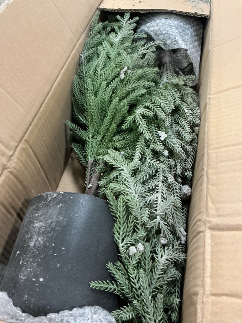 Condition photo showing As Is for Norfolk Pine Christmas Tree Real Touch Faux Holiday Tree with Pot, Realistic Indoor Outdoor Decoration for Entryway, Living Room, Office, Apartment (3FT-2Pack)
