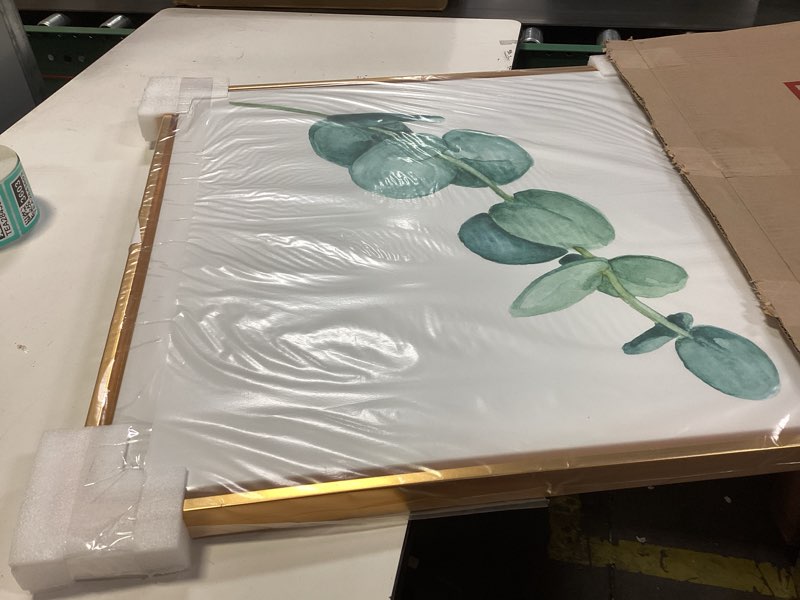 Condition photo showing New/Like New for Young Eucalyptus Leaves and Branches II - Traditional Framed Canvas Wall Art Print 30x30 FL37138 Gold