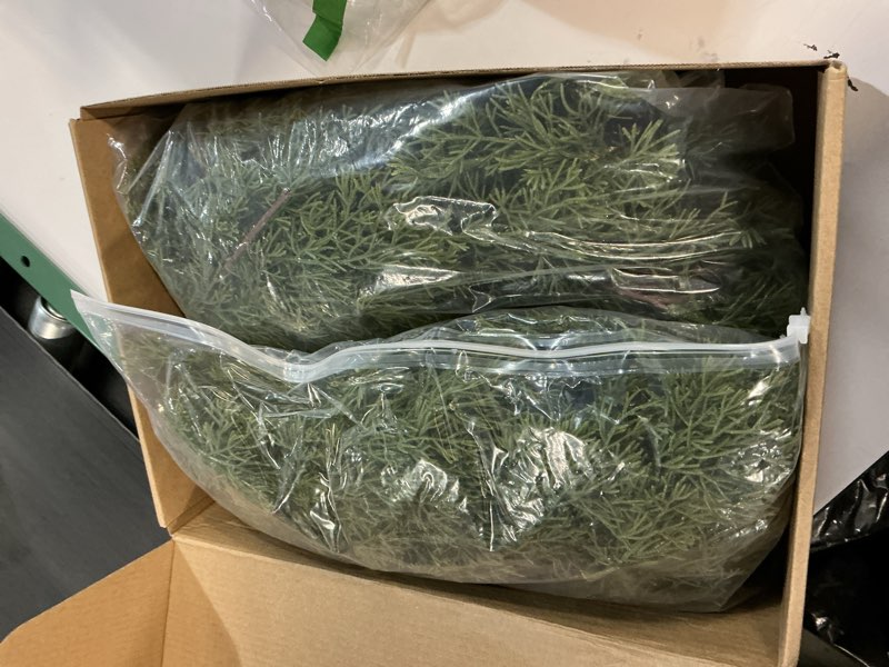 Condition photo showing Good Condition for 6 FT Christmas Garlands – Pack of 2 Cedar Garland Artificial Pine Real Touch Faux Greenery Vine for Winter Holiday Decor, Table Centerpieces, Mantle, Wall, Indoor Outdoor Decorations Flowers Eucalyptus Garlands