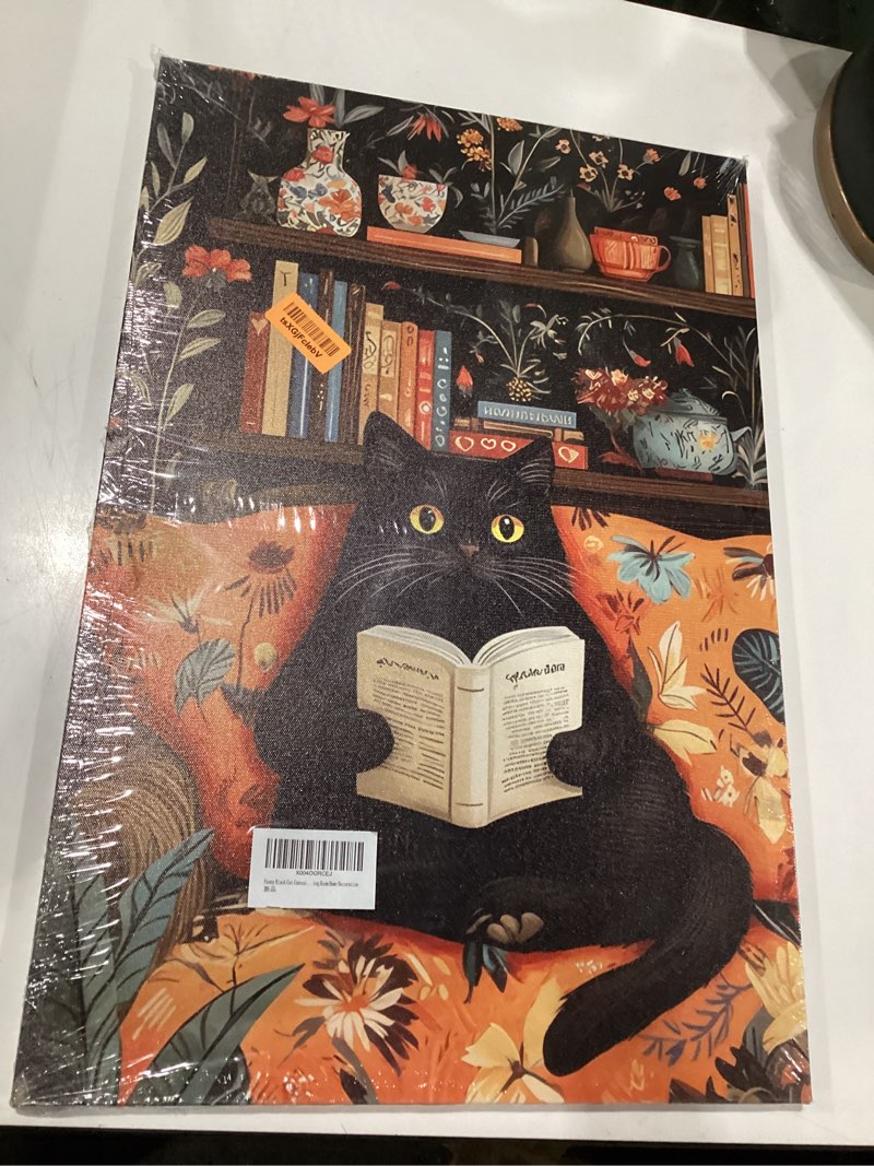 Condition photo showing New/Like New for framed funny black cat canvas wall art boho cat reading book picture wall decor cute animal poster print artwork for reading room living room office study room home decoration 16x24in canvas 16l''x24w''