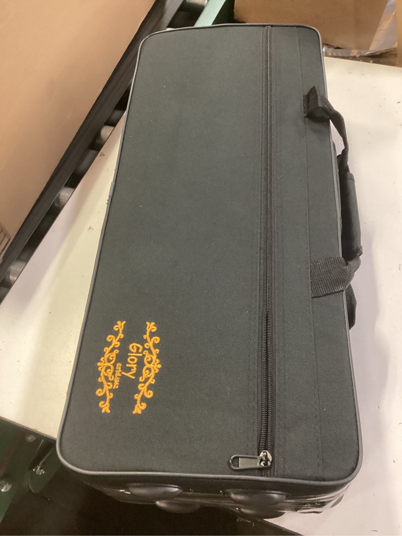Condition photo showing New/Like New for glory gold laquer e flat alto saxophone with 11reeds,8 pads cushions,case,carekit