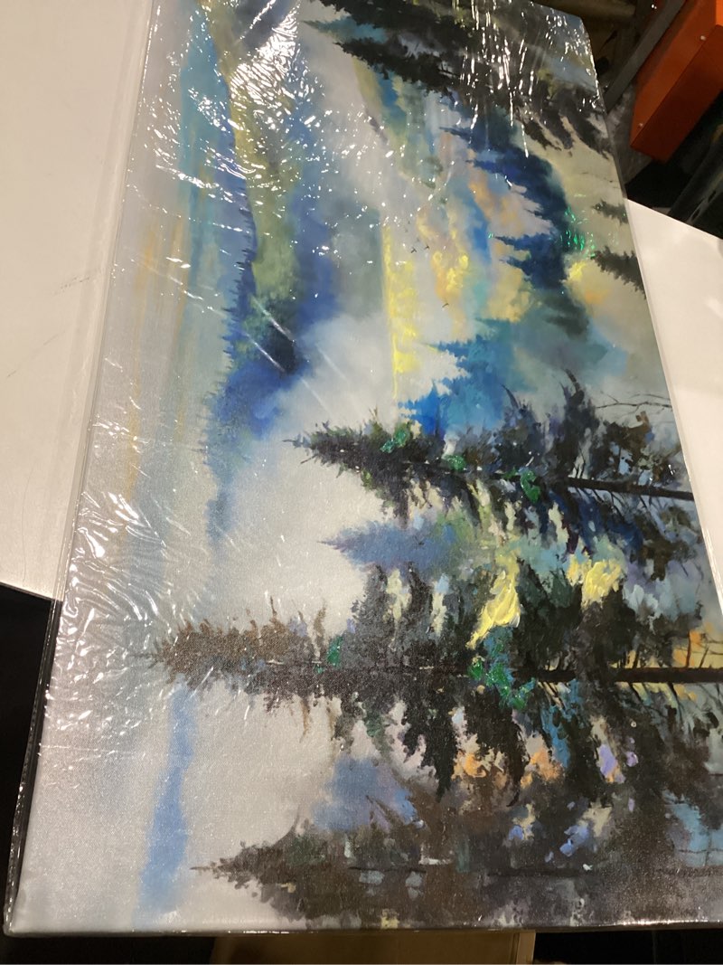 Condition photo showing Good Condition for celestdeco blue ridge mountains forest framed canvas wall art set, natural landscape wall decor, green pine trees wall painting, woodland artworks for living room, bedroom, dining room - 20\"x40\" blue ridge 40\"l x 20\"w, similar to stock photo