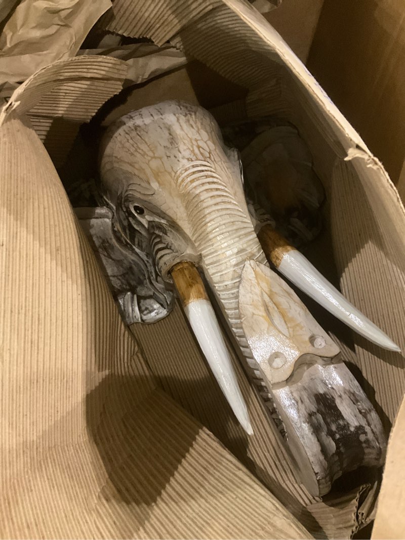 Condition photo showing Good Condition for Elephant Head Mask Decor a Magnificent impressive Size Safari Wall Hanging Hand-carved And Painted White 20 inch