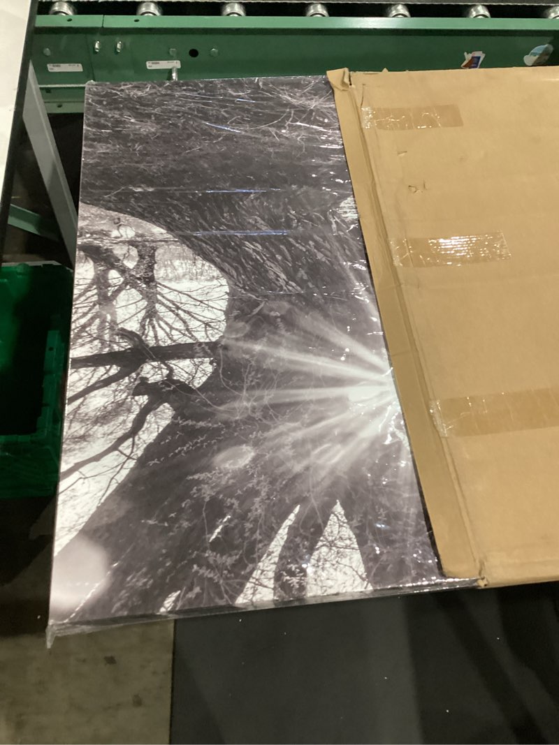 Condition photo showing Good Condition for similar to trogonup black and white misty forest wall art for living room trees large nature canvas artwork for bedroom office home decor ready to hang  black