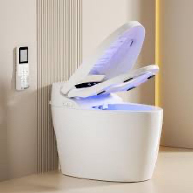 smart bidet toilet