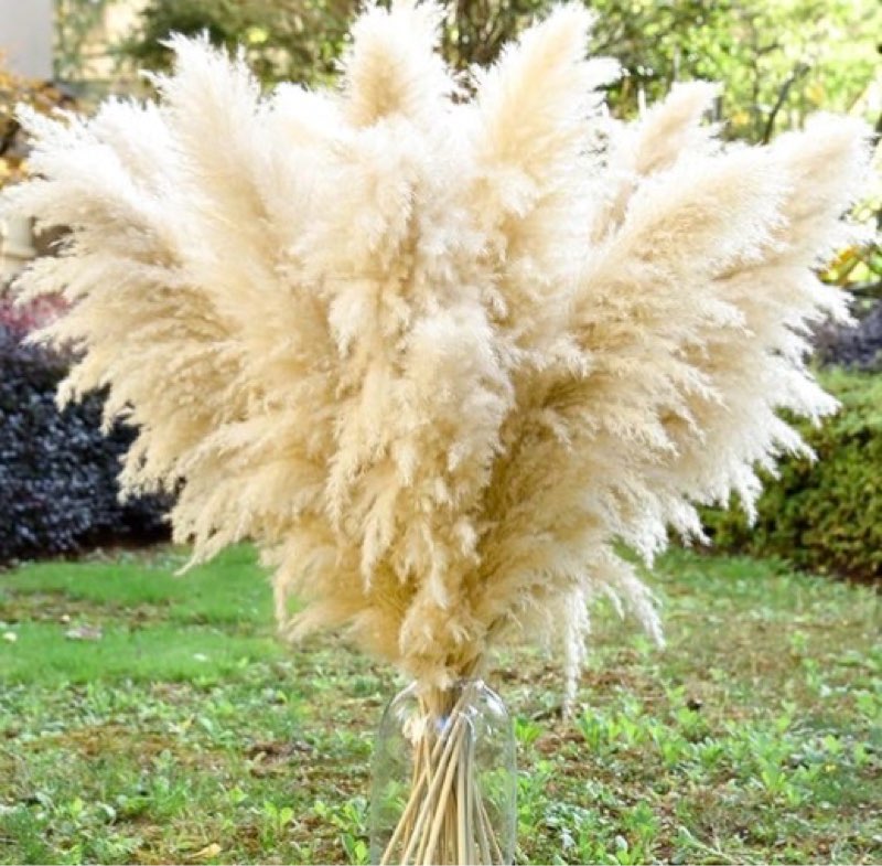 46inch 12pcs Dried Pampas Grass Decor Tall-Large Brown Pompas Grass Floral-Natural Tall Fluffy Pampa