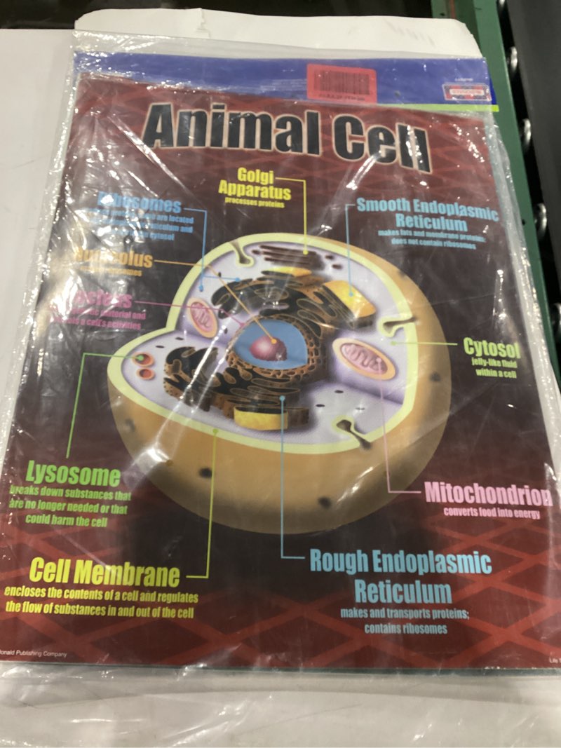 McDonald Publishing Life Science Poster Set (P077)